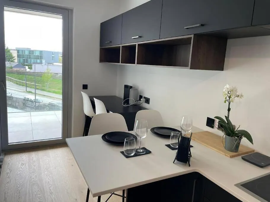 Apartman Studio In Center With Terrace&Parking-Cd4 Luxemburg